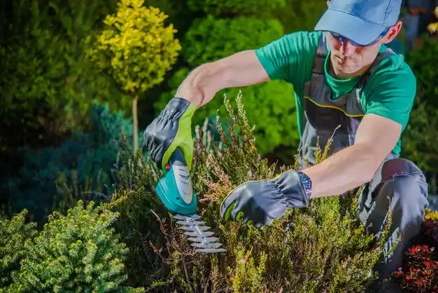 landscaping services Clay Center